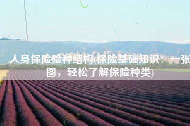 人身保险险种结构(保险基础知识：一张图，轻松了解保险种类)