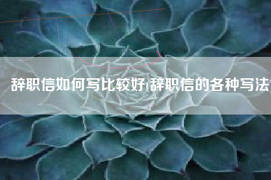 辞职信如何写比较好(辞职信的各种写法)