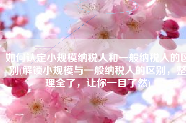 如何认定小规模纳税人和一般纳税人的区别(解锁小规模与一般纳税人的区别，整理全了，让你一目了然)