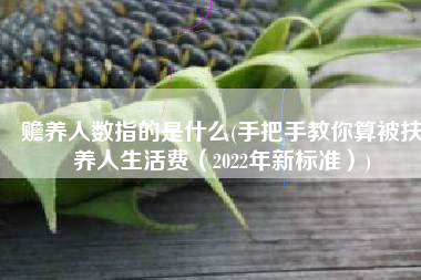 赡养人数指的是什么(手把手教你算被扶养人生活费（2022年新标准）)