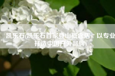 凯乐石(凯乐石首家登山概念店，以专业打造中国户外品牌)