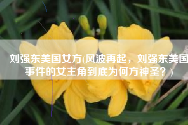 刘强东美国女方(风波再起，刘强东美国事件的女主角到底为何方神圣？)