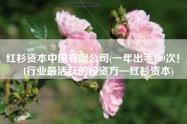 红杉资本中国有限公司(一年出手199次！AI行业最活跃的投资方—红杉资本)