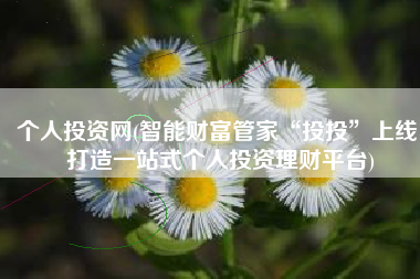 个人投资网(智能财富管家“投投”上线 打造一站式个人投资理财平台)
