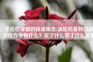 沃伦巴菲特的投资组合(沃伦巴菲特的投资组合中有什么？买了什么卖了什么股票)