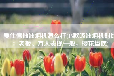 爱仕德抽油烟机怎么样(15款吸油烟机对比：老板、方太表现一般，樱花垫底)