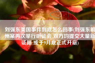 刘强东美国事件到底怎么回事(刘强东明州案再次举行听证会 双方均提交大量新证据 或于9月底正式开庭)