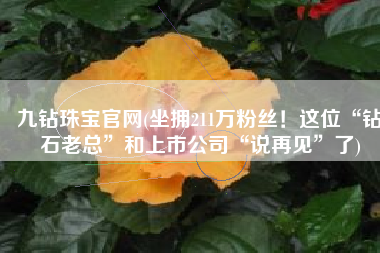 九钻珠宝官网(坐拥211万粉丝！这位“钻石老总”和上市公司“说再见”了)