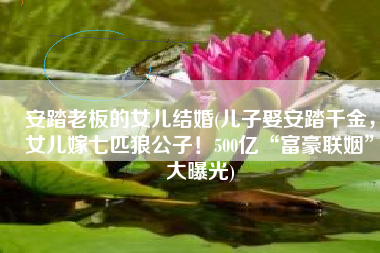 安踏老板的女儿结婚(儿子娶安踏千金，女儿嫁七匹狼公子！500亿“富豪联姻”大曝光)