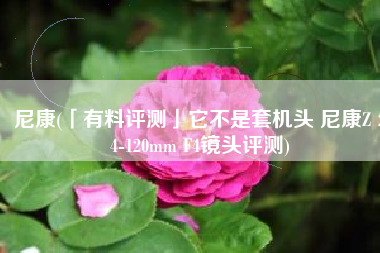尼康(「有料评测」它不是套机头 尼康Z 24-120mm F4镜头评测)