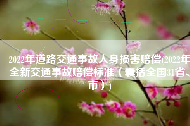 2022年道路交通事故人身损害赔偿(2022年全新交通事故赔偿标准（囊括全国31省、市）)