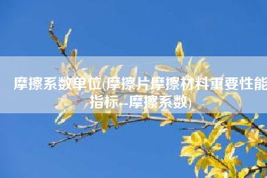 摩擦系数单位(摩擦片摩擦材料重要性能指标--摩擦系数)