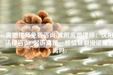 离婚律师免费咨询(沈阳离婚律师：沈阳法律咨询_起诉离婚—感情破裂没证据能离吗)