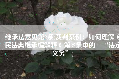 继承法意见第2条(裁判案例：如何理解《民法典继承编解释》第32条中的​“法定义务”)