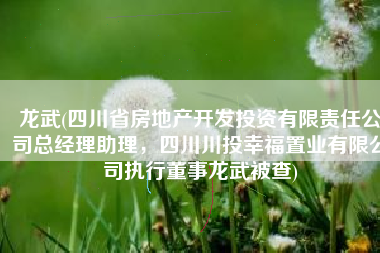 龙武(四川省房地产开发投资有限责任公司总经理助理，四川川投幸福置业有限公司执行董事龙武被查)