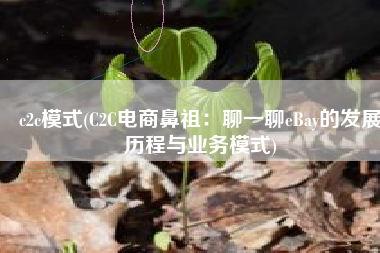 c2c模式(C2C电商鼻祖：聊一聊eBay的发展历程与业务模式)