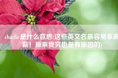 charlie是什么意思(这些英文名最容易拿高薪！原来我穷也是有原因的)