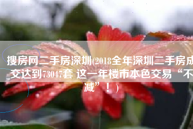 搜房网二手房深圳(2018全年深圳二手房成交达到73047套 这一年楼市本色交易“不减”！)