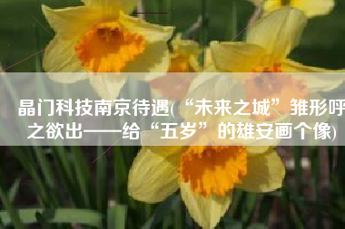 晶门科技南京待遇(“未来之城”雏形呼之欲出——给“五岁”的雄安画个像)