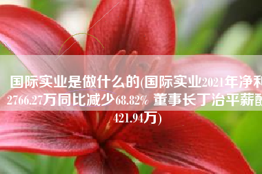 国际实业是做什么的(国际实业2021年净利2766.27万同比减少68.82% 董事长丁治平薪酬421.94万)