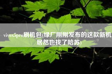 vivox5pro刷机包(绿厂刚刚发布的这款新机，居然也找了哈苏)