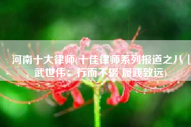 河南十大律师(十佳律师系列报道之八┃武世伟：行而不辍 履践致远)