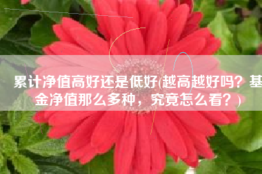 累计净值高好还是低好(越高越好吗？基金净值那么多种，究竟怎么看？)