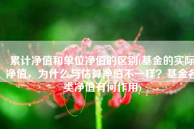 累计净值和单位净值的区别(基金的实际净值，为什么与估算净值不一样？基金各类净值有何作用)