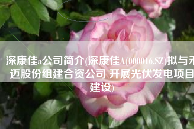 深康佳a公司简介(深康佳A(000016.SZ)拟与禾迈股份组建合资公司 开展光伏发电项目建设)
