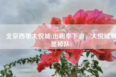 北京西单大悦城(出租率下滑，大悦城明显掉队)