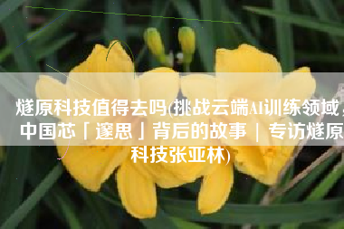 燧原科技值得去吗(挑战云端AI训练领域，中国芯「邃思」背后的故事 | 专访燧原科技张亚林)