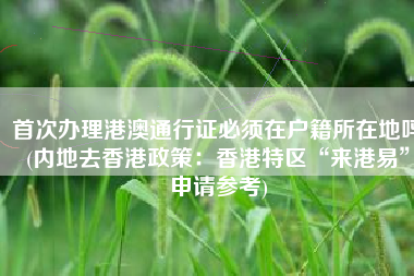 首次办理港澳通行证必须在户籍所在地吗(内地去香港政策：香港特区“来港易”申请参考)