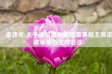 梁建章(王予波与携程集团董事局主席梁建章举行工作会谈)