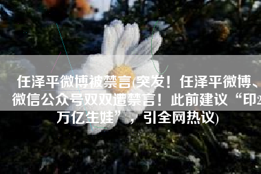 任泽平微博被禁言(突发！任泽平微博、微信公众号双双遭禁言！此前建议“印2万亿生娃”，引全网热议)