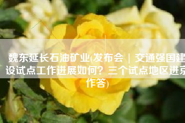 魏东延长石油矿业(发布会 | 交通强国建设试点工作进展如何？三个试点地区进京作答)