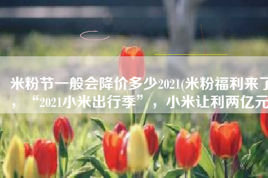 米粉节一般会降价多少2021(米粉福利来了，“2021小米出行季”，小米让利两亿元)