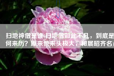 扫地神僧是谁(扫地僧如此不凡，到底是何来历？原来他来头极大，和展昭齐名)