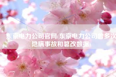 东京电力公司官网(东京电力公司曾多次隐瞒事故和篡改数据)