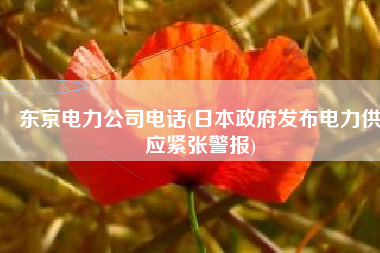 东京电力公司电话(日本政府发布电力供应紧张警报)