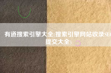 有道搜索引擎大全(搜索引擎网站收录SEO提交大全)