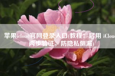 苹果icloud官网登录入口(教程：启用 iCloud 两步验证，防隐私侧漏)