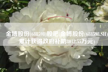 金博股份(688598)股吧(金博股份(688598.SH)累计获得政府补助8012.55万元)
