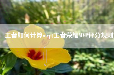 王者如何计算mvp(王者荣耀MVP评分规则)