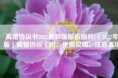 离婚协议书2022最新版模板图片(「2022年版」离婚协议（附：使用说明、注意事项）)