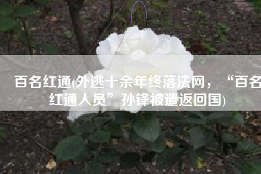 百名红通(外逃十余年终落法网，“百名红通人员”孙锋被遣返回国)