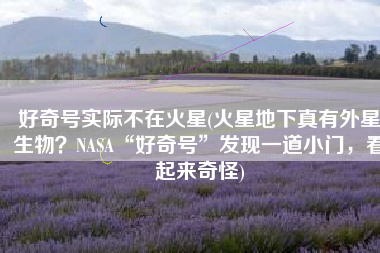 好奇号实际不在火星(火星地下真有外星生物？NASA“好奇号”发现一道小门，看起来奇怪)