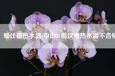 爱仕德热水器(中山21批次电热水器不合格)