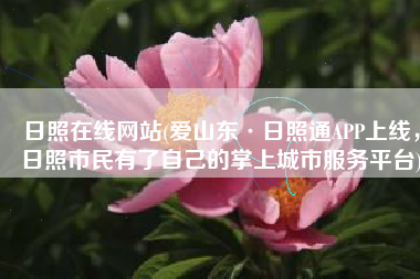 日照在线网站(爱山东·日照通APP上线，日照市民有了自己的掌上城市服务平台)