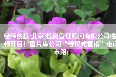 经纬创投(北京)投资管理顾问有限公司(整顿开启！图片库公司“维权式营销”走向末路)