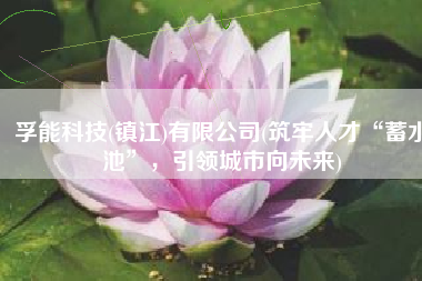 孚能科技(镇江)有限公司(筑牢人才“蓄水池”，引领城市向未来)